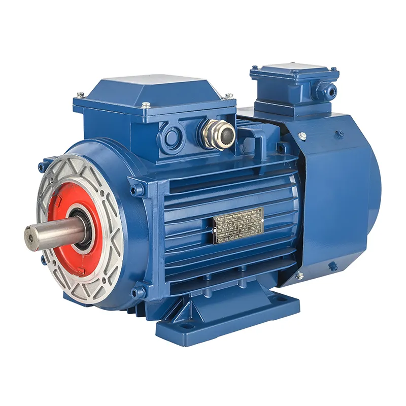 Inverter Adjustable 50Hz 60Hz Three Phase Motor